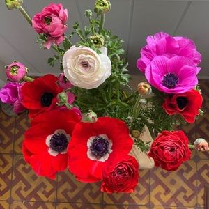 Meet your Posher, Gabriela